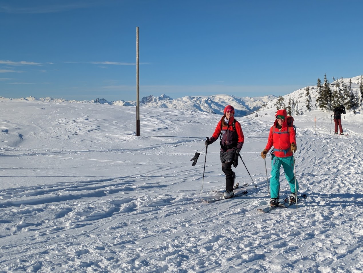 PXL_20250112_200449159.PORTRAIT.ORIGINAL