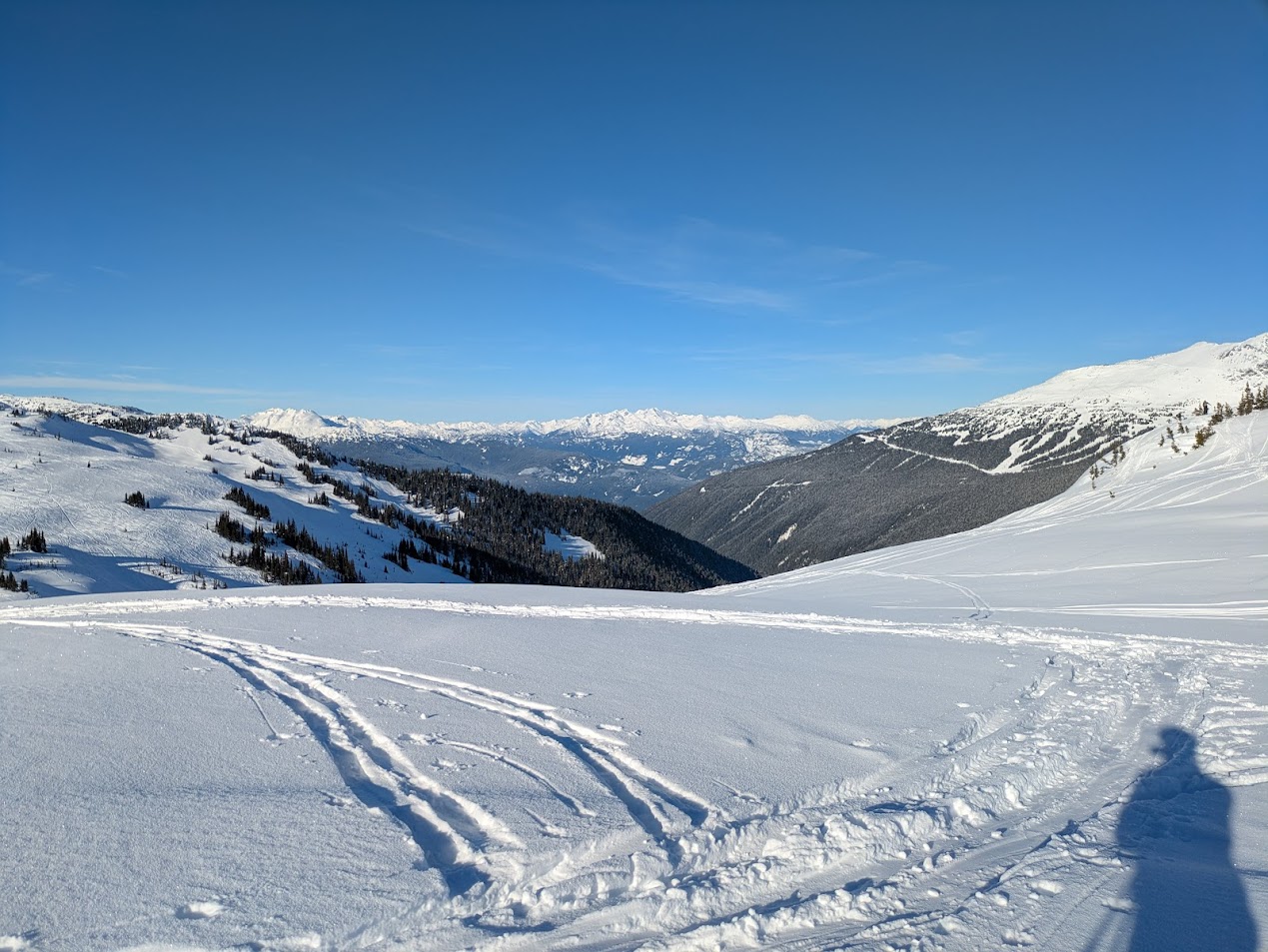 PXL_20250112_212831805.MP