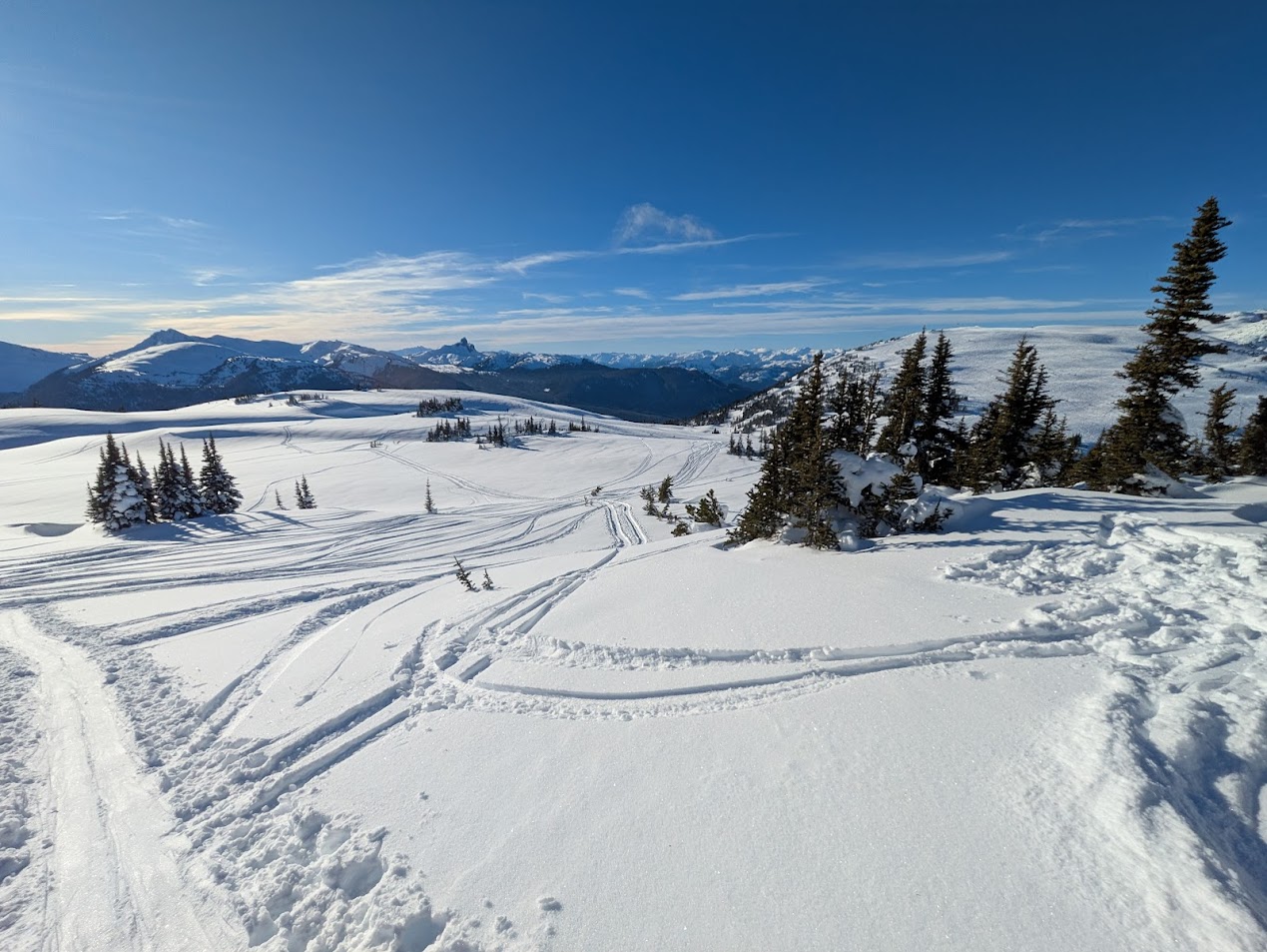 PXL_20250112_213522018.MP