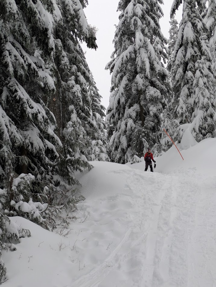 PXL_20250201_232606315.MP