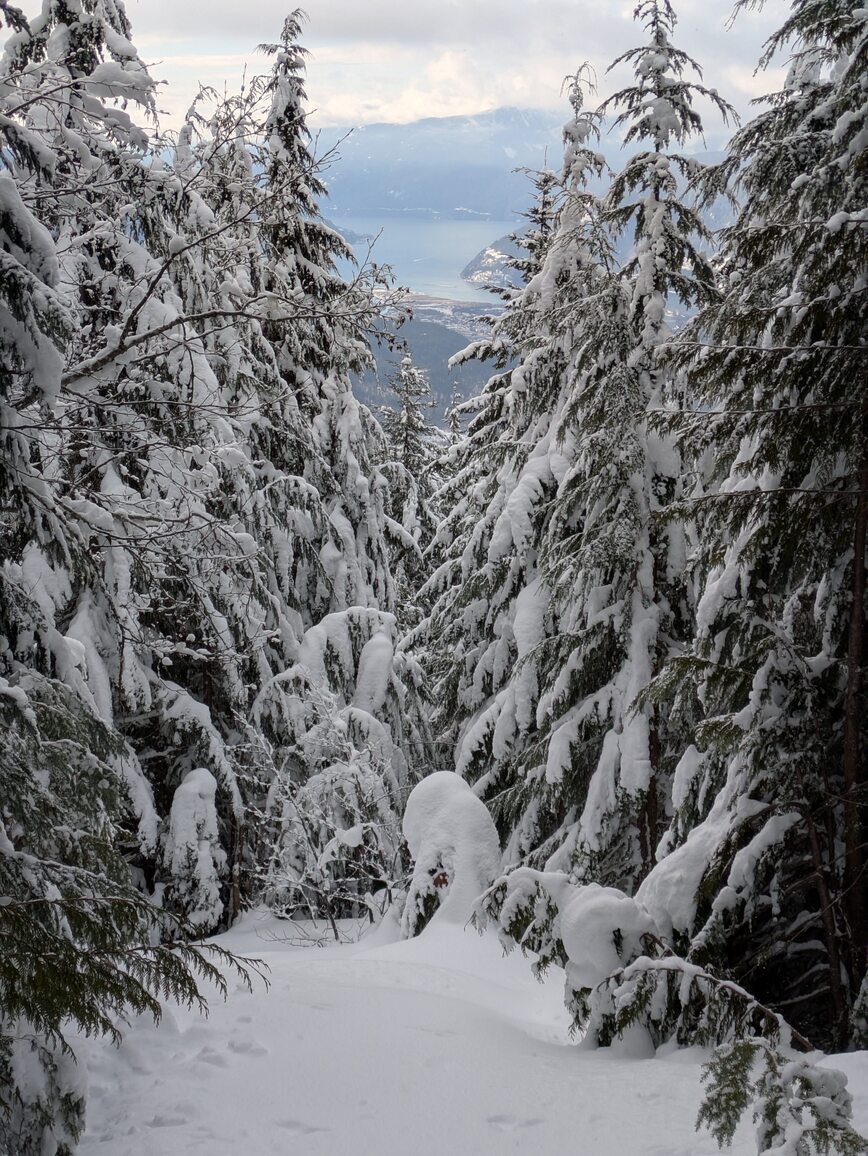 PXL_20250208_194315117.MP