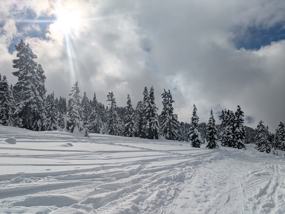 PXL_20250208_215357473.MP