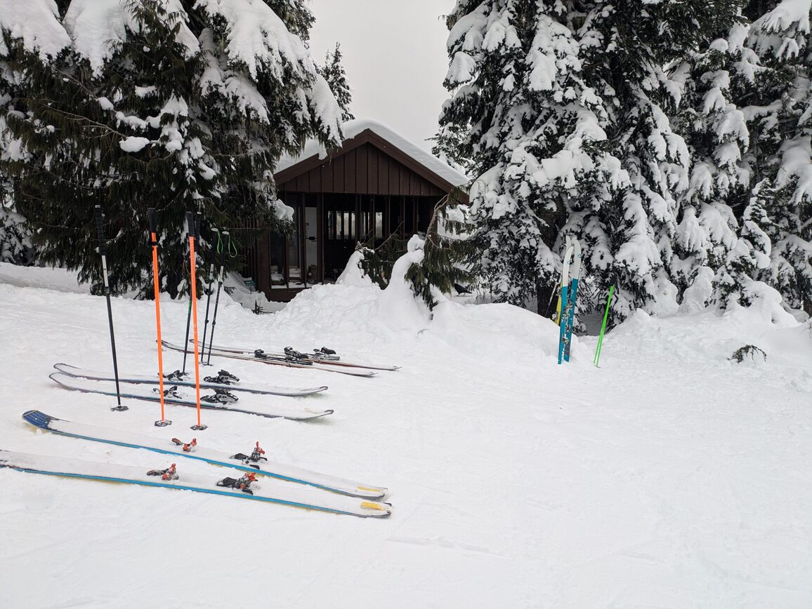 PXL_20250208_234721389.MP