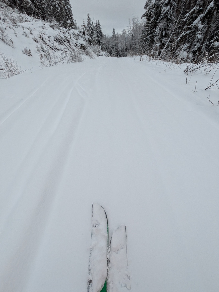 PXL_20250216_180610955.MP