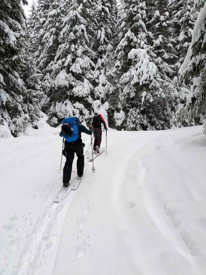 PXL_20250216_190158596.MP