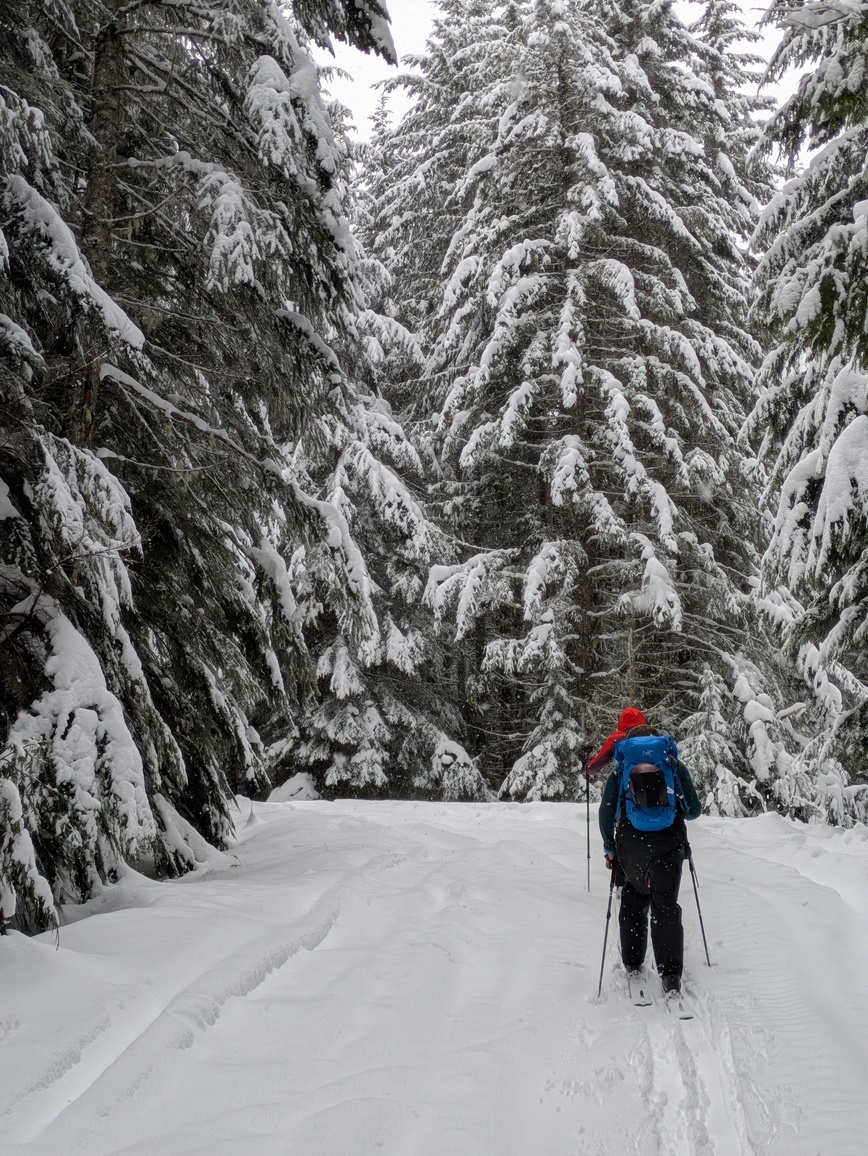 PXL_20250216_190302884.PORTRAIT.ORIGINAL