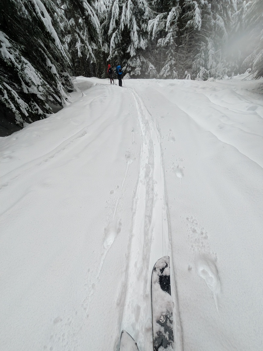 PXL_20250216_190324965.MP