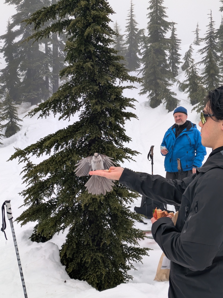 PXL_20250223_181917499.MP PXL_20250223_181917499.MP