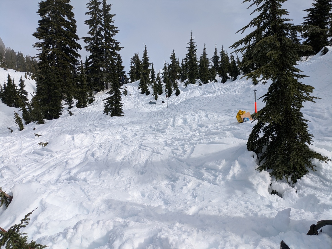 PXL_20250223_201701976.MP PXL_20250223_201701976.MP