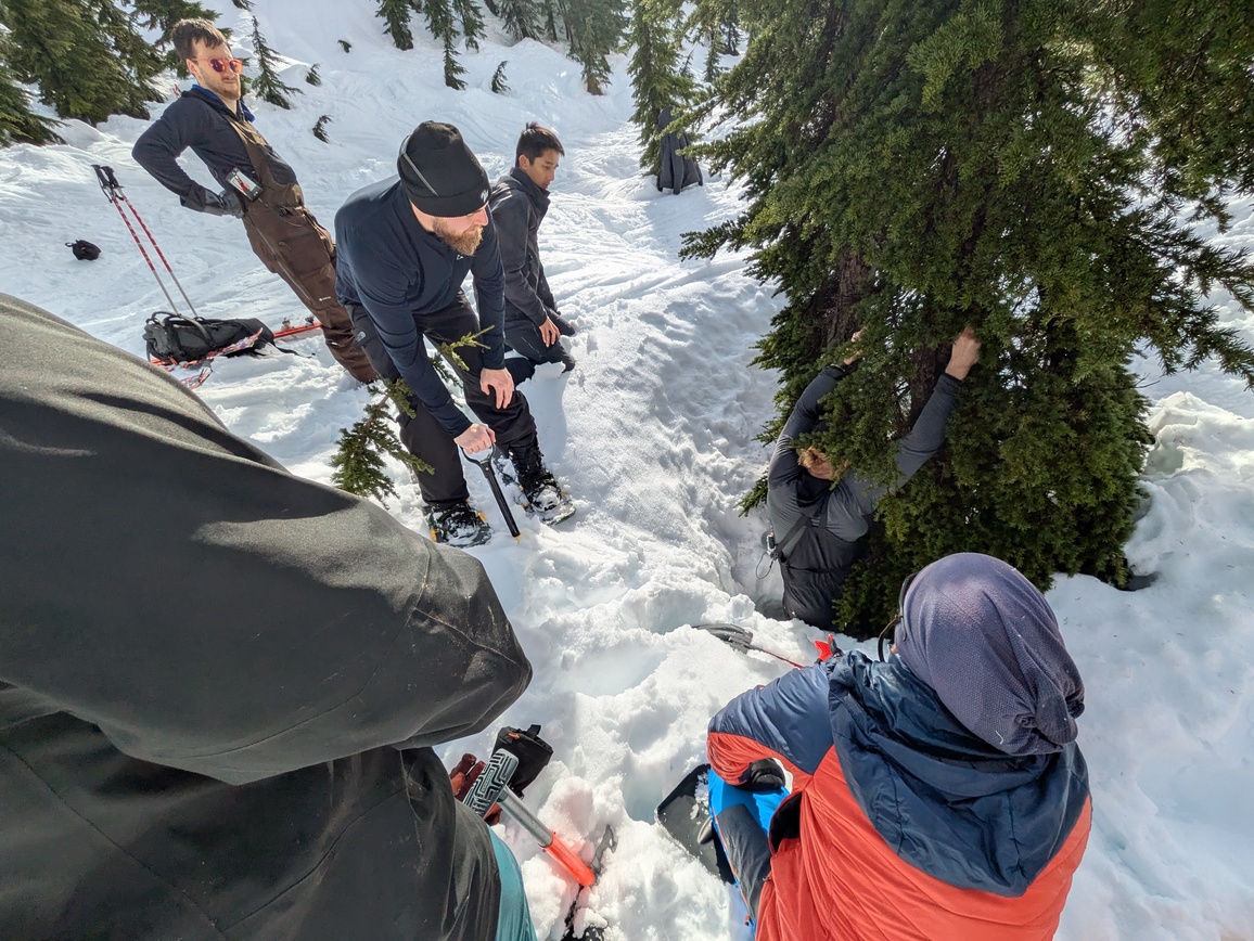 PXL_20250223_205954176.MP PXL_20250223_205954176.MP